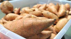 6 Low Carb Potato Substitutes