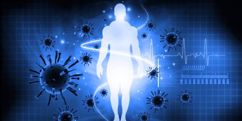 How Your Immune System Protects You